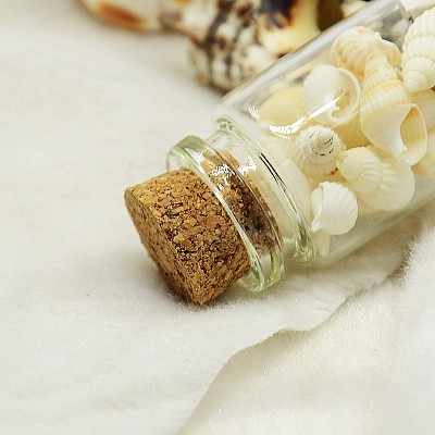 Glass Wishing Bottles X-DJEW-J001-04-1