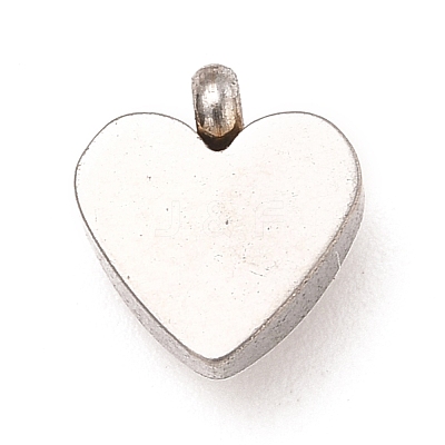 304 Stainless Steel Charms STAS-I165-05P-1