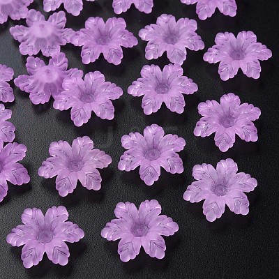 Transparent Acrylic Beads MACR-S373-117-D04-1