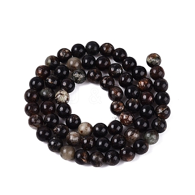 Natural Biotite Beads Strands G-Q616-01B-1