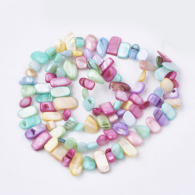 Freshwater Shell Beads Strands SHEL-S274-40L-1