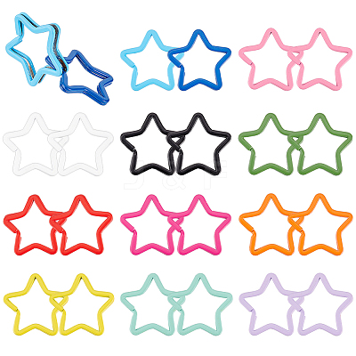 24Pcs 12 Colors Spray-painted Iron Keychain Clasps IFIN-BC0001-16-1