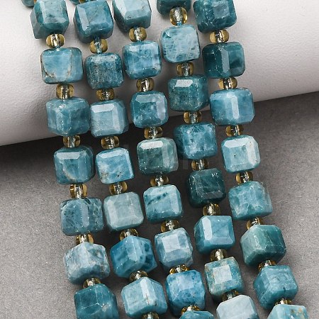 Natural Apatite Beads Strands GG-CBAC972-A18-01-1