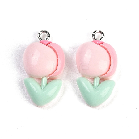 Resin Pendants RESI-I061-04A-1