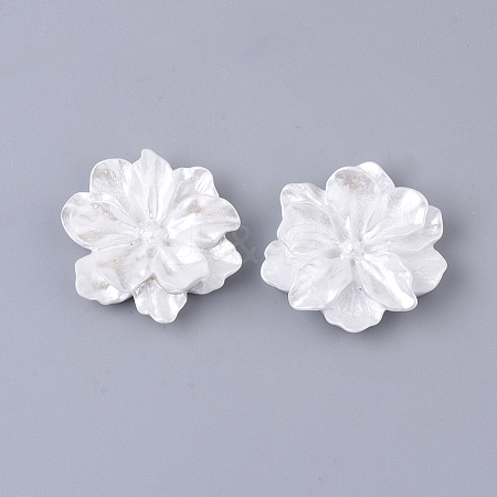 Resin Cabochons LS-X-RESI-S364-46B-1