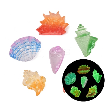 Luminous Resin Shell Shape & Conch Display Decorations RE-CBA17C4-22-1