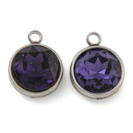 304 Stainless Steel Glass Rhinestone Charms STAS-E052-56A-1