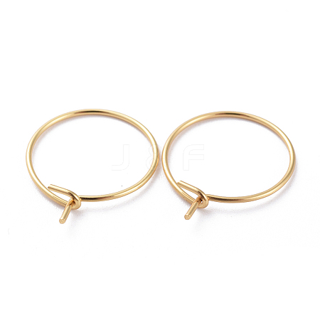 316 Surgical Stainless Steel Hoop Earring Findings X-STAS-J025-01D-G02-1