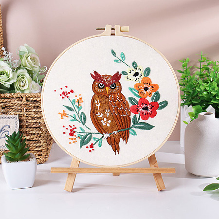 DIY Embroidery Kits PW-WG67252-02-1