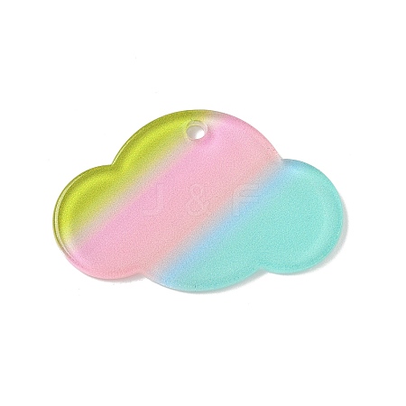 Transparent Acrylic Pendants OACR-I018-04-1