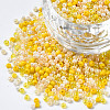 Glass Round Seed Beads SEED-S057-R-005-1