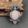 Antique Silver Alloy Owl Brooch Pins PW-WG382CA-06-1