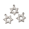Non-Tarnish 304 Stainless Steel Pendants LS-STAS-Q001-02P-2