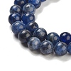 Sodalite Round Bead Strands G-P070-46-6mm-2