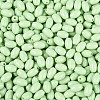 Baking Paint Glass Seed Beads SEED-T007-15J-2