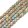 Dyed Synthetic Turquoise  Beads Strands G-H087-C07-01-1