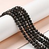 Natural Silver Sheen Obsidian Beads Strands LS-G-E608-A02-C-4