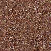 MIYUKI Delica Beads SEED-MY11-DB1241-3