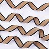 Polyester Braid Ribbon OCOR-WH0068-31B-5