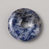 Natural Blue Spot Jasper China Safety Buckle Pendants G-WH0030-21A-13-1