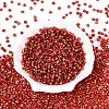 Picasso Baking Paint Glass Seed Beads SEED-N007-37E-2