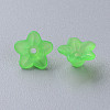 Transparent Acrylic Beads PL554-13-2