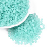 FGB Frosted Transparent Glass Seed Beads SEED-N013-04A-10-1
