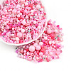 Glass Seed Beads SEED-N007-13F-1