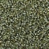 MIYUKI Delica Beads X-SEED-J020-DB2163-3