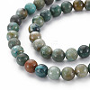 Natural Chrysocolla Beads Strands X-G-S376-004A-3