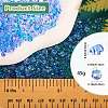 45G Transparent Baking Paint Glass Seed Beads SEED-SZ0001-028H-2