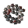 Natural Indian Agate Beads Strands G-K359-E07-5