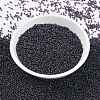 MIYUKI Round Rocailles Beads SEED-G009-RR0171-2
