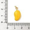 Brass Enamel Pendants KK-H523-01H-G-3
