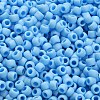 TOHO 6/0 Round Beads SEED-TR06-0403F-4