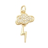 Brass Micro Pave Cubic Zirconia Pendants LS-KK-D105-04G-1