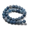 Natural Weathered Agate Beads Strands G-P538-A01-09-3