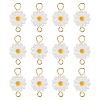 12Pcs Natural Freshwater Shell Flower Connector Charms PALLOY-HS00006-1