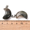 Natural African Bloodstone Pendants G-F820-02L-21-2