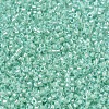 MIYUKI Delica Beads SEED-JP0008-DB1707-3