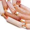 Natural Weathered Agate Beads Strands G-A321-K02-01-3