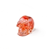 Resin Skull Display Decoration PW-WG10352-04-1