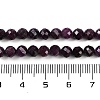 Natural Ruby Beads Strands G-P553-G01-04-6