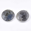 Natural Labradorite Pendants G-T112-29A-2