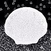 FGB Transparent Glass Seed Beads SEED-N013-01B-13-1