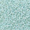 TOHO Round Seed Beads SEED-TR11-PF2116-2