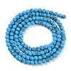 Synthetic Turquoise Beads Strands G-U004-02J-3