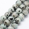 Natural Sesame Jasper/Kiwi Jasper Beads Strands X-G-I199-29-4mm-1