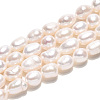 Natural Cultured Freshwater Pearl Beads Strands PEAR-N014-06I-2