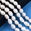 Natural Cultured Freshwater Pearl Beads Strands PEAR-N014-08F-2